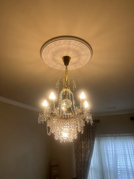 Home-n-Around Electric Picture 7