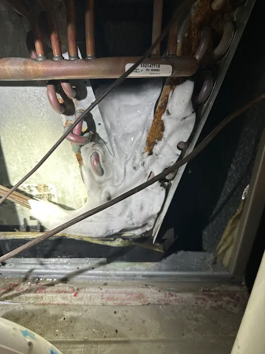 MP SERVICES, LLC Picture 3