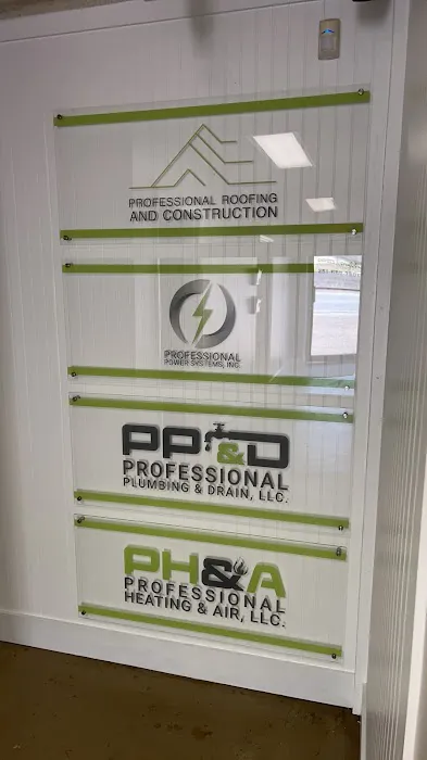 Professional Systems Picture 2