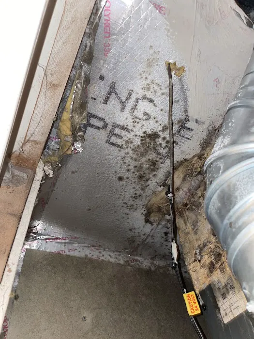 Hansen Air Pros Picture 5