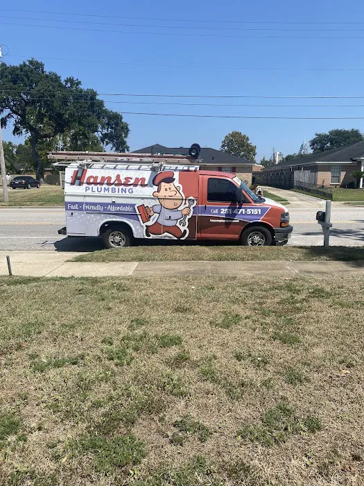 Hansen Air Pros Picture 7