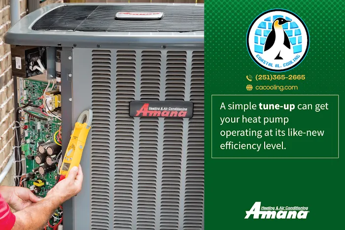 Coastal Alabama Cooling Picture 10