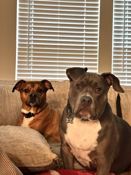 Air Repair AL Picture 8