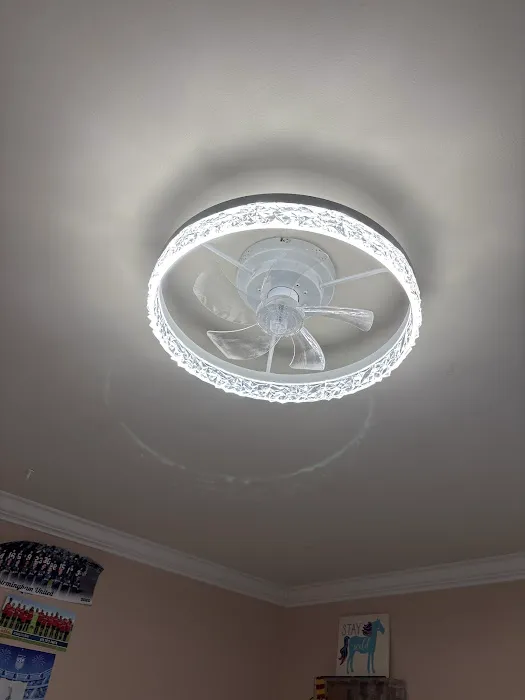 Mister Sparky Picture 3