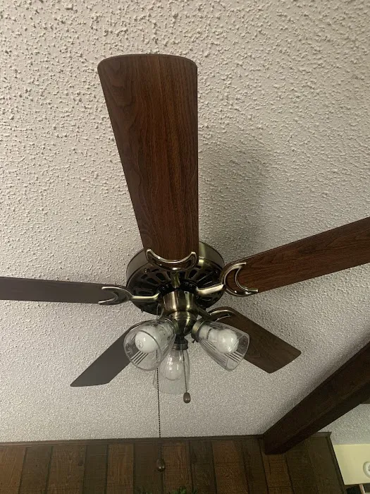 Mister Sparky Picture 6