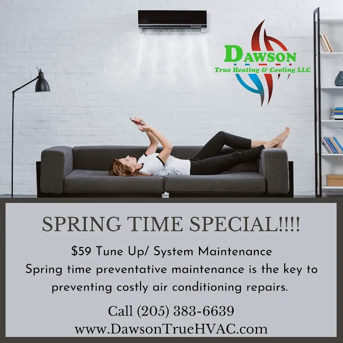 Dawson True Heating & Cooling LLC. Picture 9