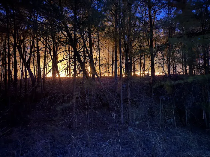 Express Oil Change & Tire Engineers Picture 3