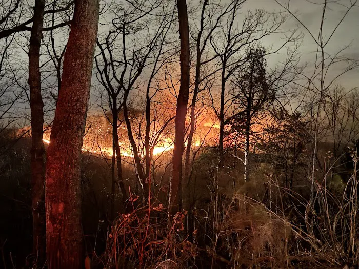 Express Oil Change & Tire Engineers Picture 6