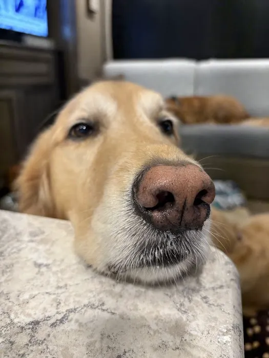 Artic Auto Air & Auto Service Picture 5