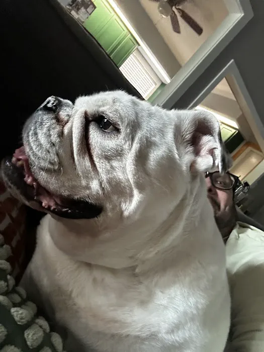 Siggs Air Conditioning Picture 2