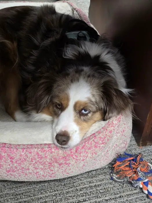 Country Cooling & Heating Inc Picture 1