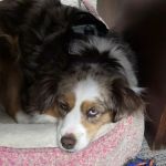 Country Cooling & Heating Inc