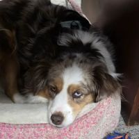 Country Cooling & Heating Inc ico