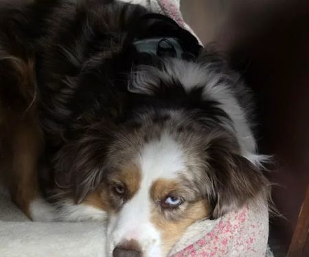 Country Cooling & Heating Inc