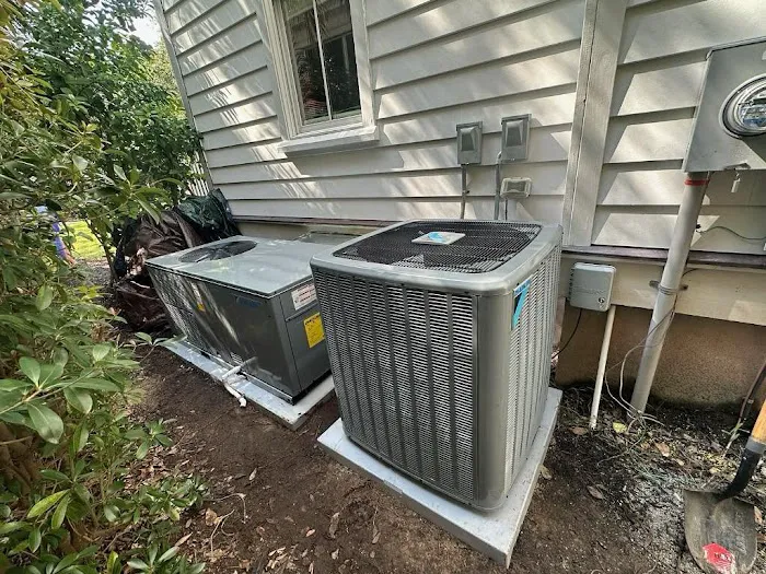 Coastal Carolina Comfort Picture 3