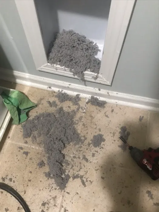 Coastal Carolina Comfort Picture 5