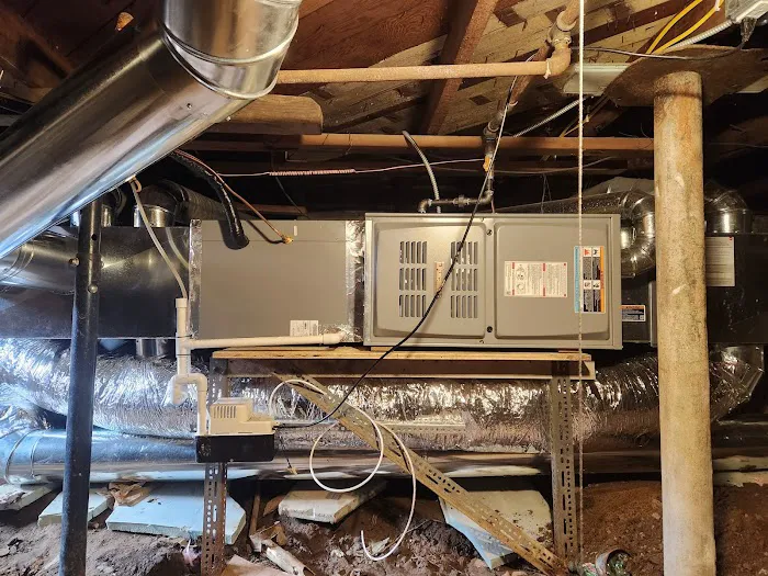 Coastal Carolina Comfort Picture 10