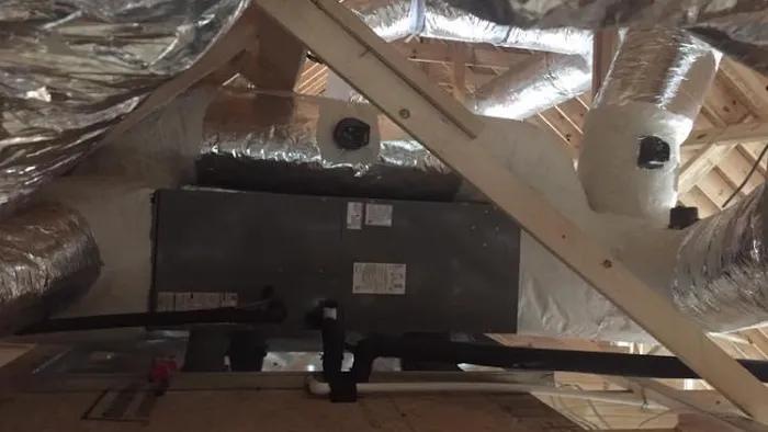 Coastal Carolina Comfort Picture 7