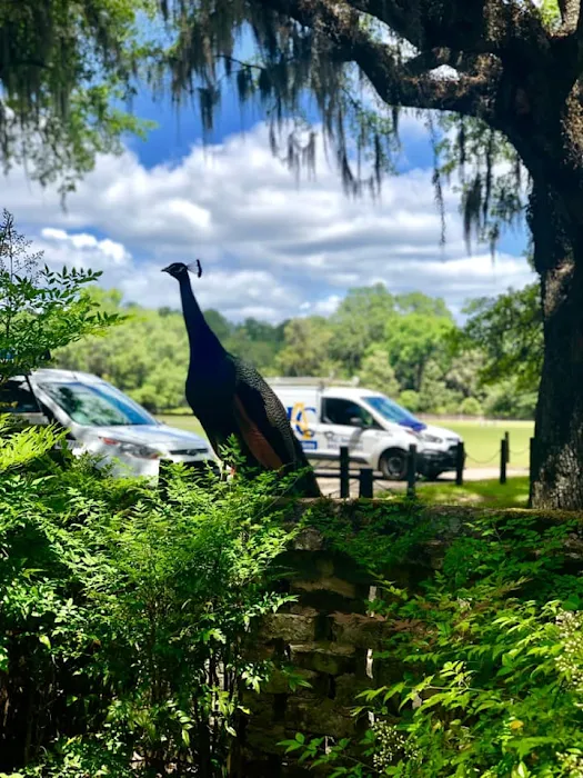 JAC Services Picture 8