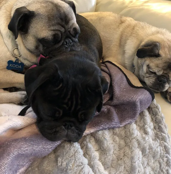 Arctic Air Inc Picture 10