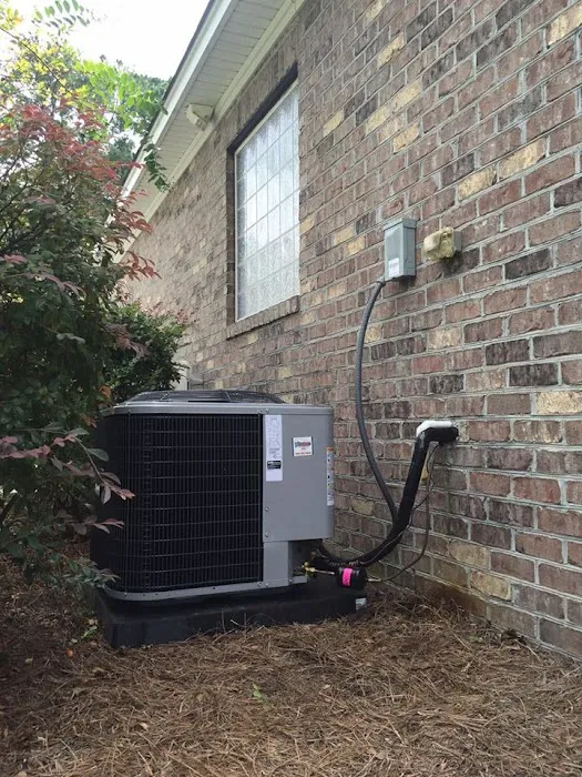 Carney & Son 72 Degrees Picture 7