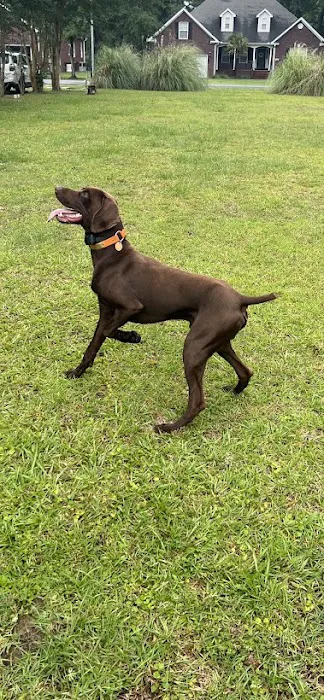 Pointer Cooling and Heating Picture 3