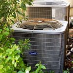 TemperaturePro Charleston