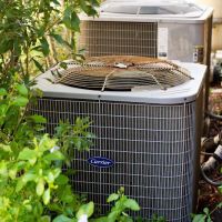 TemperaturePro Charleston ico