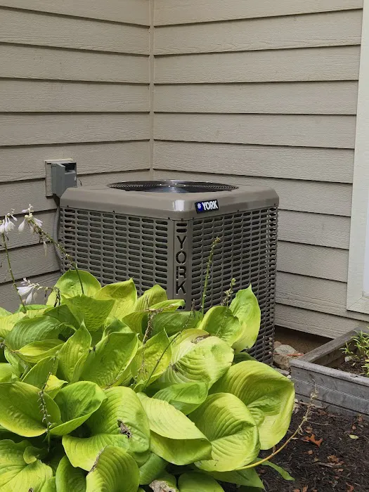 air scapes group llc Picture 5