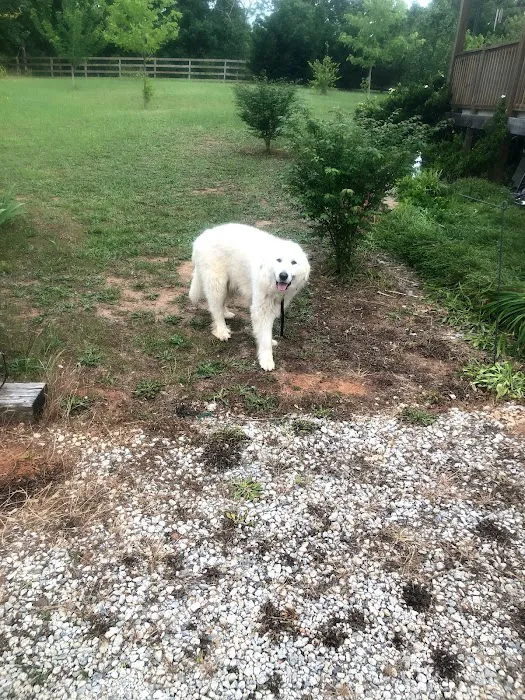 Heavenly Aire Picture 9