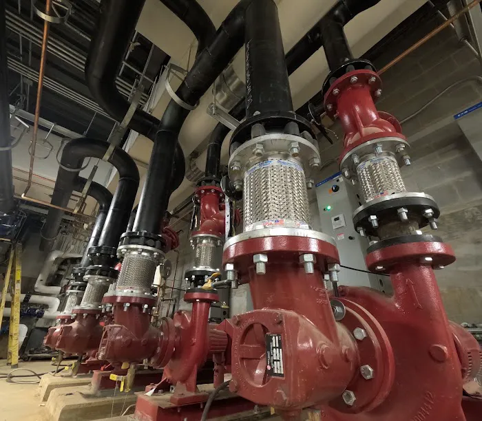 W. B. Guimarin & Co. Picture 9