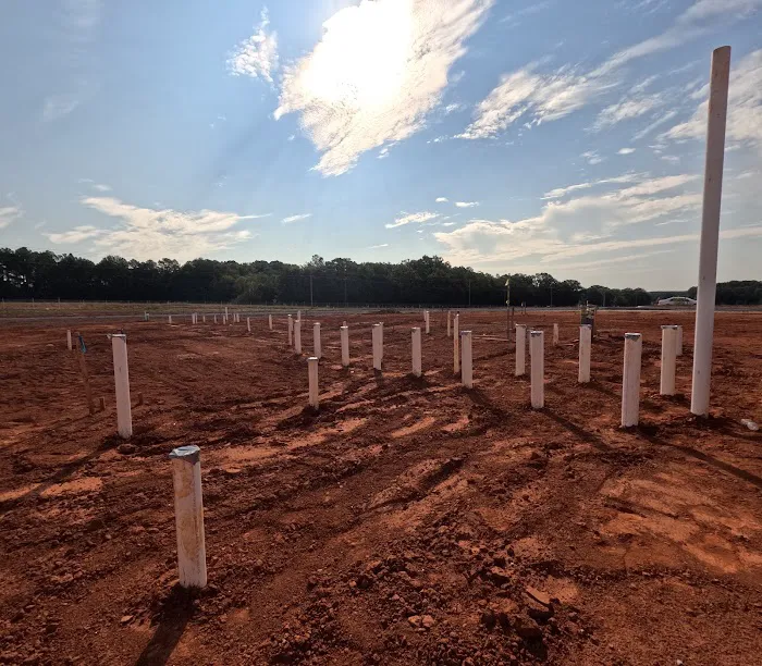 W. B. Guimarin & Co. Picture 10