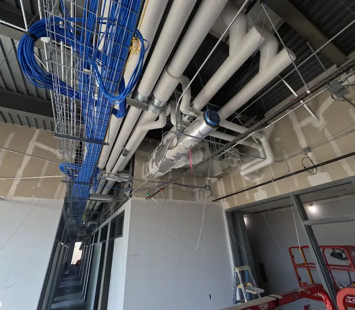 W. B. Guimarin & Co. Picture 5