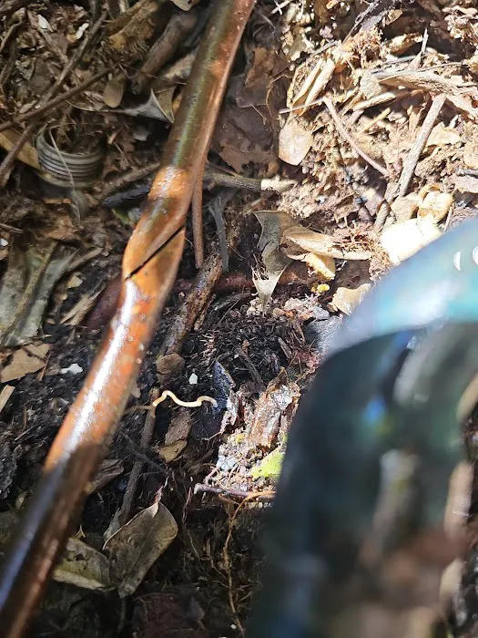 Shade Tree Heating and Air Conditioning Picture 7