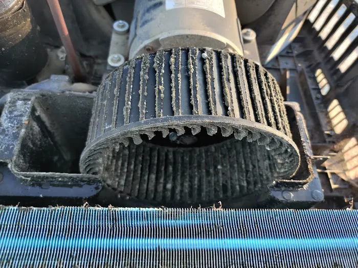 Bella RV mobile tech Picture 5