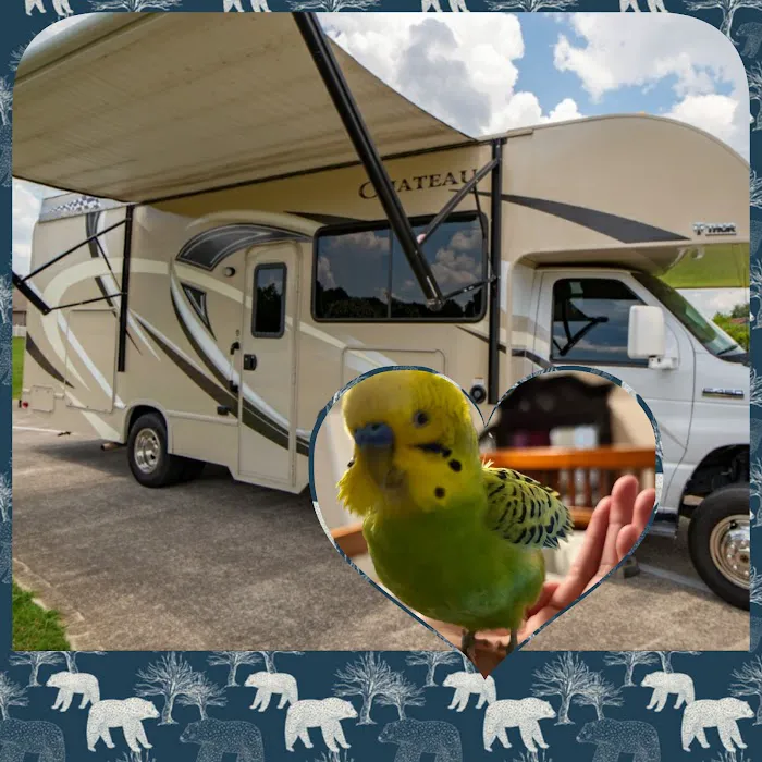 Bella RV mobile tech Picture 9