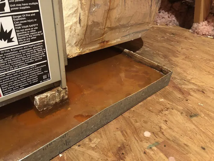 Alternative Picture 2