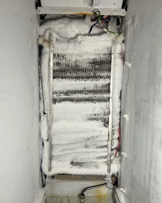 Will Fixx It, LLC Picture 1