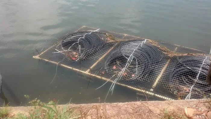 EcoMech Geothermal and Heating & Air Picture 7