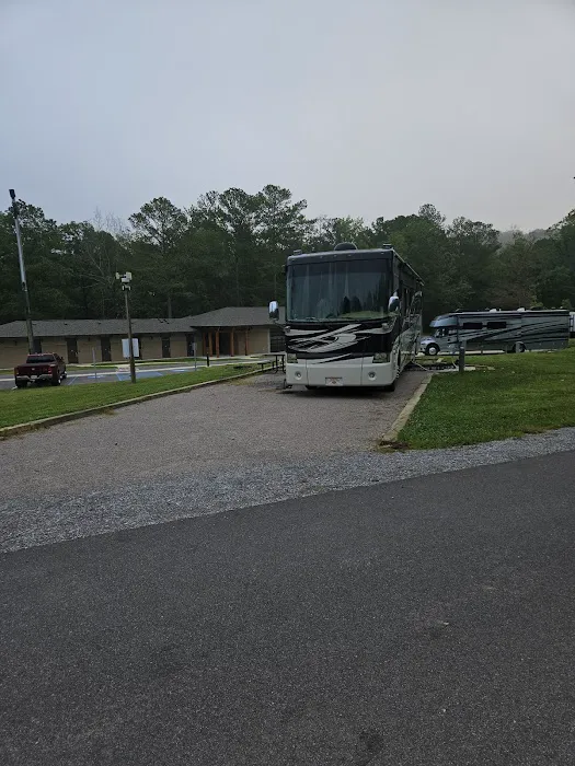 Quick Pro Rv Picture 6