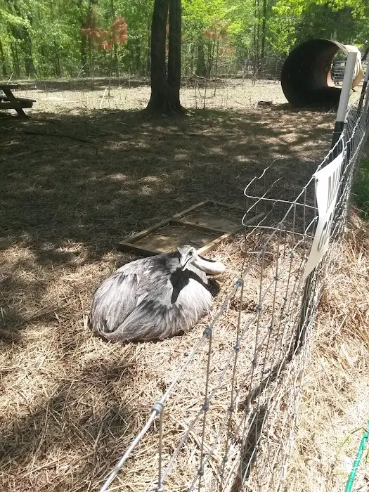 Tim Jones Heating & Cooling Picture 1