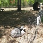 Tim Jones Heating & Cooling