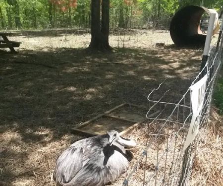 Tim Jones Heating & Cooling