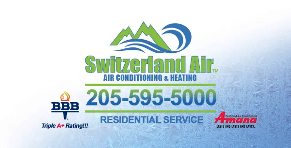 Switzerland Air Picture 2