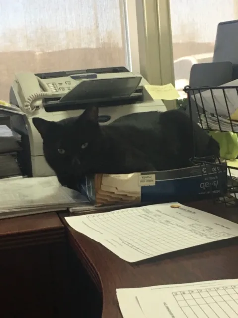 richvines@aol Picture 2