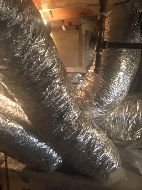 richvines@aol Picture 8