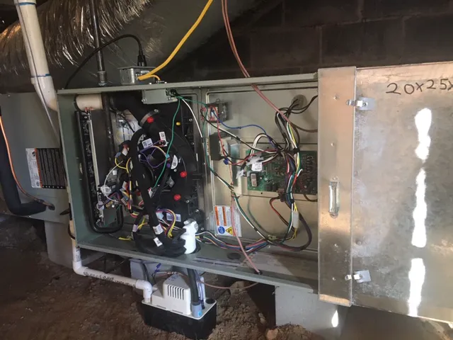 richvines@aol Picture 7