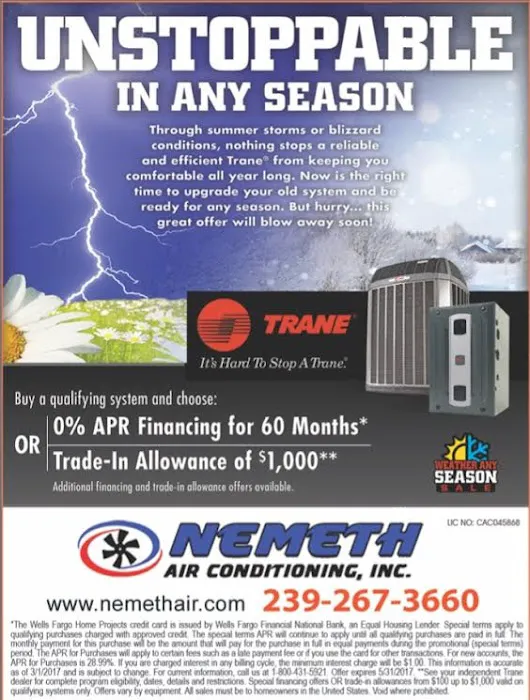 Nemeth Inc Picture 1