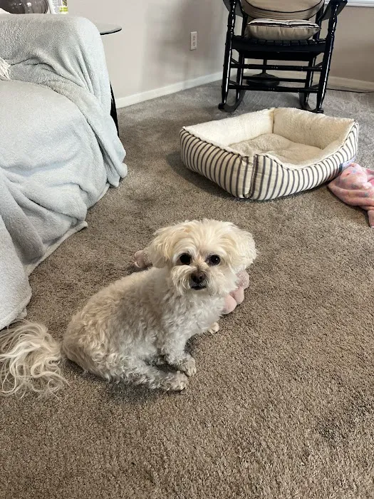 Eco Air of SWFL Picture 8