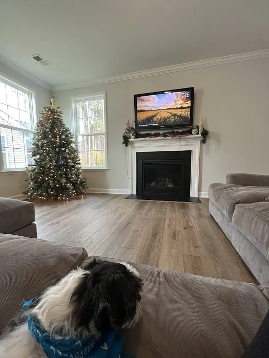 My 1st Pro Commercial and Residential Handyman Services Picture 5